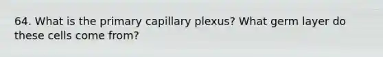 64. What is the primary capillary plexus? What germ layer do these cells come from?