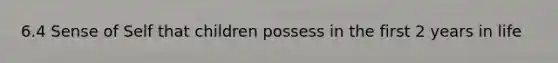 6.4 Sense of Self that children possess in the first 2 years in life