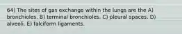 64) The sites of gas exchange within the lungs are the A) bronchioles. B) terminal bronchioles. C) pleural spaces. D) alveoli. E) falciform ligaments.