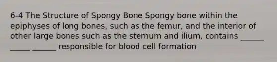 6-4 The Structure of Spongy Bone Spongy bone within the epiphyses of long bones, such as the femur, and the interior of other large bones such as the sternum and ilium, contains ______ _____ ______ responsible for blood cell formation