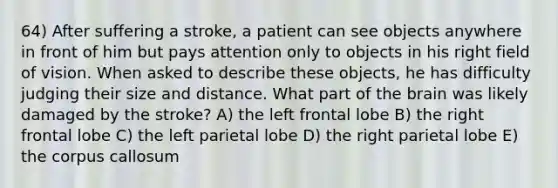 64) After suffering a stroke, a patient can see objects anywhere in front of him but pays attention only to objects in his right field of vision. When asked to describe these objects, he has difficulty judging their size and distance. What part of the brain was likely damaged by the stroke? A) the left frontal lobe B) the right frontal lobe C) the left parietal lobe D) the right parietal lobe E) the corpus callosum