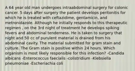 A 64 year old man undergoes intraabdominal surgery for colonic cancer. 5 days after surgery the patient develops peritonitis for which he is treated with ceftazidime, gentamicin, and metronidazole. Although he initially responds to this therapeutic regimen , on the 3rd night of treatment he develops spiking fevers and abdominal tenderness. He is taken to surgery that night and 50 cc of purulent material is drained from his abdominal cavity. The material submitted for gram stain and culture. The Gram stain is positive within 24 hours. Which organism is most likely responsible for this infection? -Candida albicans -Enterococcus faecialis -colistridium -Klebsiella pneumoniae -Escheriachia coli