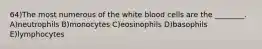 64)The most numerous of the white blood cells are the ________. A)neutrophils B)monocytes C)eosinophils D)basophils E)lymphocytes