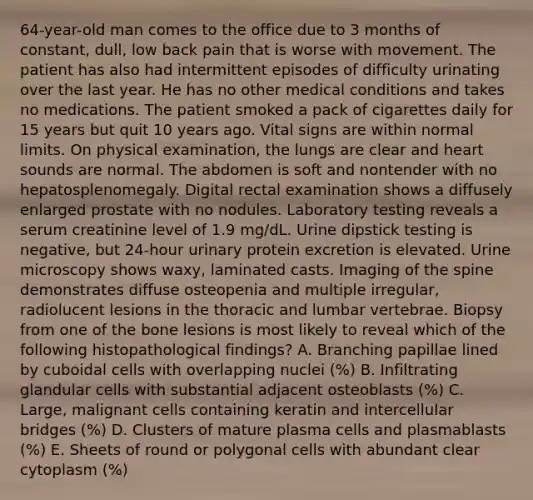 64-year-old man comes to the office due to 3 months of constant, dull, low back pain that is worse with movement. The patient has also had intermittent episodes of difficulty urinating over the last year. He has no other medical conditions and takes no medications. The patient smoked a pack of cigarettes daily for 15 years but quit 10 years ago. Vital signs are within normal limits. On physical examination, the lungs are clear and heart sounds are normal. The abdomen is soft and nontender with no hepatosplenomegaly. Digital rectal examination shows a diffusely enlarged prostate with no nodules. Laboratory testing reveals a serum creatinine level of 1.9 mg/dL. Urine dipstick testing is negative, but 24-hour urinary protein excretion is elevated. Urine microscopy shows waxy, laminated casts. Imaging of the spine demonstrates diffuse osteopenia and multiple irregular, radiolucent lesions in the thoracic and lumbar vertebrae. Biopsy from one of the bone lesions is most likely to reveal which of the following histopathological findings? A. Branching papillae lined by cuboidal cells with overlapping nuclei (%) B. Infiltrating glandular cells with substantial adjacent osteoblasts (%) C. Large, malignant cells containing keratin and intercellular bridges (%) D. Clusters of mature plasma cells and plasmablasts (%) E. Sheets of round or polygonal cells with abundant clear cytoplasm (%)