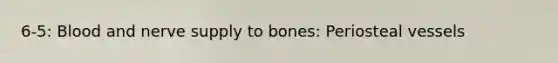 6-5: Blood and nerve supply to bones: Periosteal vessels