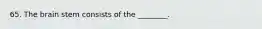 65. The brain stem consists of the ________.