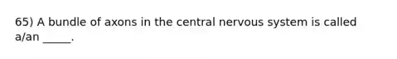 65) A bundle of axons in the central <a href='https://www.questionai.com/knowledge/kThdVqrsqy-nervous-system' class='anchor-knowledge'>nervous system</a> is called a/an _____.