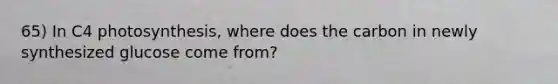 65) In C4 photosynthesis, where does the carbon in newly synthesized glucose come from?