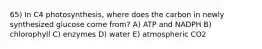 65) In C4 photosynthesis, where does the carbon in newly synthesized glucose come from? A) ATP and NADPH B) chlorophyll C) enzymes D) water E) atmospheric CO2