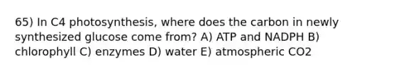 65) In C4 photosynthesis, where does the carbon in newly synthesized glucose come from? A) ATP and NADPH B) chlorophyll C) enzymes D) water E) atmospheric CO2