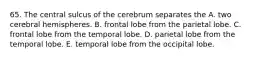 65. The central sulcus of the cerebrum separates the A. two cerebral hemispheres. B. frontal lobe from the parietal lobe. C. frontal lobe from the temporal lobe. D. parietal lobe from the temporal lobe. E. temporal lobe from the occipital lobe.