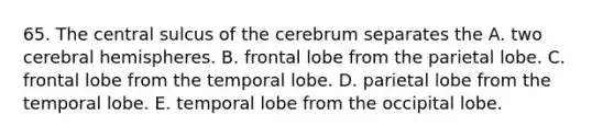 65. The central sulcus of the cerebrum separates the A. two cerebral hemispheres. B. frontal lobe from the parietal lobe. C. frontal lobe from the temporal lobe. D. parietal lobe from the temporal lobe. E. temporal lobe from the occipital lobe.