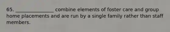 65. ________________ combine elements of foster care and group home placements and are run by a single family rather than staff members.