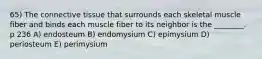 65) The connective tissue that surrounds each skeletal muscle fiber and binds each muscle fiber to its neighbor is the ________. p 236 A) endosteum B) endomysium C) epimysium D) periosteum E) perimysium