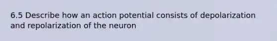 6.5 Describe how an action potential consists of depolarization and repolarization of the neuron