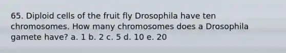 65. Diploid cells of the fruit fly Drosophila have ten chromosomes. How many chromosomes does a Drosophila gamete have? a. 1 b. 2 c. 5 d. 10 e. 20