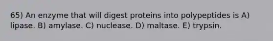 65) An enzyme that will digest proteins into polypeptides is A) lipase. B) amylase. C) nuclease. D) maltase. E) trypsin.