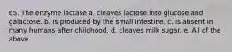 65. The enzyme lactase a. cleaves lactose into glucose and galactose. b. is produced by the small intestine. c. is absent in many humans after childhood. d. cleaves milk sugar. e. All of the above