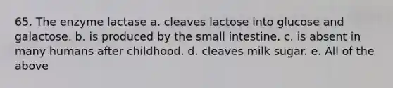 65. The enzyme lactase a. cleaves lactose into glucose and galactose. b. is produced by the small intestine. c. is absent in many humans after childhood. d. cleaves milk sugar. e. All of the above