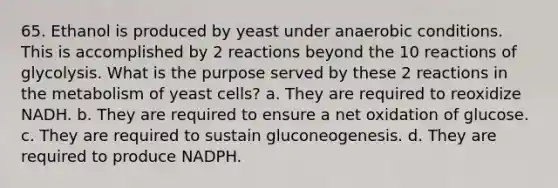 65. Ethanol is produced by yeast under anaerobic conditions. This is accomplished by 2 reactions beyond the 10 reactions of glycolysis. What is the purpose served by these 2 reactions in the metabolism of yeast cells? a. They are required to reoxidize NADH. b. They are required to ensure a net oxidation of glucose. c. They are required to sustain gluconeogenesis. d. They are required to produce NADPH.