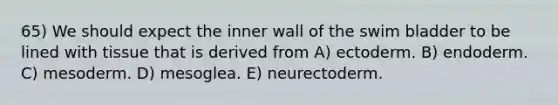 65) We should expect the inner wall of the swim bladder to be lined with tissue that is derived from A) ectoderm. B) endoderm. C) mesoderm. D) mesoglea. E) neurectoderm.