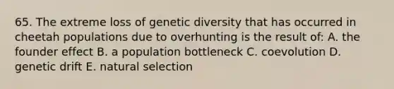 65. The extreme loss of genetic diversity that has occurred in cheetah populations due to overhunting is the result of: A. the founder effect B. a population bottleneck C. coevolution D. genetic drift E. natural selection