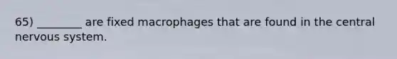 65) ________ are fixed macrophages that are found in the central nervous system.