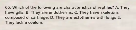 65. Which of the following are characteristics of reptiles? A. They have gills. B. They are endotherms. C. They have skeletons composed of cartilage. D. They are ectotherms with lungs E. They lack a coelom.