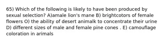 65) Which of the following is likely to have been produced by sexual selection? A)amale lion's mane B) brightcotors of female flowers O) the ability of desert animalk to concentrate their urine D) different sizes of male and female pine cones . E) camouflage coloration in arimals