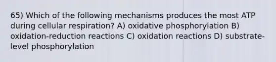 65) Which of the following mechanisms produces the most ATP during cellular respiration? A) oxidative phosphorylation B) oxidation-reduction reactions C) oxidation reactions D) substrate-level phosphorylation