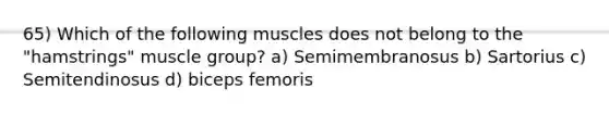 65) Which of the following muscles does not belong to the "hamstrings" muscle group? a) Semimembranosus b) Sartorius c) Semitendinosus d) biceps femoris