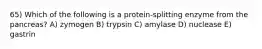 65) Which of the following is a protein-splitting enzyme from the pancreas? A) zymogen B) trypsin C) amylase D) nuclease E) gastrin