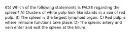 65) Which of the following statements is FALSE regarding the spleen? A) Clusters of white pulp look like islands in a sea of red pulp. B) The spleen is the largest lymphoid organ. C) Red pulp is where immune functions take place. D) The splenic artery and vein enter and exit the spleen at the hilum.