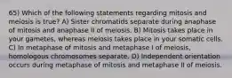 65) Which of the following statements regarding mitosis and meiosis is true? A) Sister chromatids separate during anaphase of mitosis and anaphase II of meiosis. B) Mitosis takes place in your gametes, whereas meiosis takes place in your somatic cells. C) In metaphase of mitosis and metaphase I of meiosis, homologous chromosomes separate. D) Independent orientation occurs during metaphase of mitosis and metaphase II of meiosis.