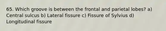 65. Which groove is between the frontal and parietal lobes? a) Central sulcus b) Lateral fissure c) Fissure of Sylvius d) Longitudinal fissure