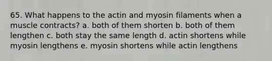 65. What happens to the actin and myosin filaments when a muscle contracts? a. both of them shorten b. both of them lengthen c. both stay the same length d. actin shortens while myosin lengthens e. myosin shortens while actin lengthens