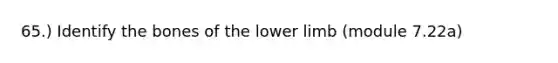 65.) Identify the bones of the lower limb (module 7.22a)