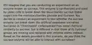 65) Imagine that you are conducting an experiment on an enzyme known as sucrase. This enzyme is synthesized and used by yeast cells to break down the disaccharide sucrose (table sugar) into the monosaccharides glucose and fructose. You decide to conduct an experiment to test whether the sucrase enzyme can break down the artificial sweetener sucralose. Sucralose (a "chlorinated" carbohydrate) has some chemical similarity to sucrose, but is different in that three of its hydroxyl groups are missing and replaced with chlorine atoms instead. Based on the details provided in this scenario, do you think the sucrase enzyme will be able to interact with sucralose?