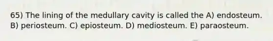 65) The lining of the medullary cavity is called the A) endosteum. B) periosteum. C) epiosteum. D) mediosteum. E) paraosteum.