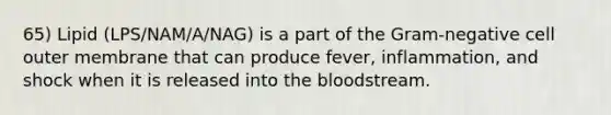 65) Lipid (LPS/NAM/A/NAG) is a part of the Gram-negative cell outer membrane that can produce fever, inflammation, and shock when it is released into <a href='https://www.questionai.com/knowledge/k7oXMfj7lk-the-blood' class='anchor-knowledge'>the blood</a>stream.