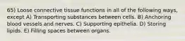 65) Loose connective tissue functions in all of the following ways, except A) Transporting substances between cells. B) Anchoring blood vessels and nerves. C) Supporting epithelia. D) Storing lipids. E) Filling spaces between organs.