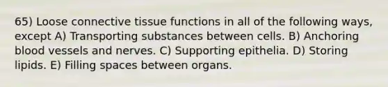 65) Loose connective tissue functions in all of the following ways, except A) Transporting substances between cells. B) Anchoring blood vessels and nerves. C) Supporting epithelia. D) Storing lipids. E) Filling spaces between organs.