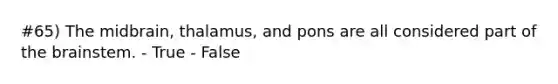 #65) The midbrain, thalamus, and pons are all considered part of the brainstem. - True - False