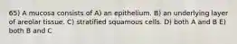 65) A mucosa consists of A) an epithelium. B) an underlying layer of areolar tissue. C) stratified squamous cells. D) both A and B E) both B and C