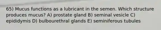 65) Mucus functions as a lubricant in the semen. Which structure produces mucus? A) prostate gland B) seminal vesicle C) epididymis D) bulbourethral glands E) seminiferous tubules