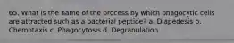 65. What is the name of the process by which phagocytic cells are attracted such as a bacterial peptide? a. Diapedesis b. Chemotaxis c. Phagocytosis d. Degranulation