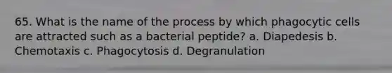 65. What is the name of the process by which phagocytic cells are attracted such as a bacterial peptide? a. Diapedesis b. Chemotaxis c. Phagocytosis d. Degranulation