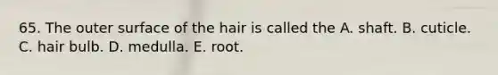 65. The outer surface of the hair is called the A. shaft. B. cuticle. C. hair bulb. D. medulla. E. root.