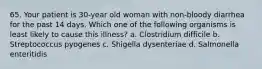 65. Your patient is 30-year old woman with non-bloody diarrhea for the past 14 days. Which one of the following organisms is least likely to cause this illness? a. Clostridium difficile b. Streptococcus pyogenes c. Shigella dysenteriae d. Salmonella enteritidis