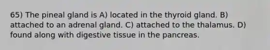 65) The pineal gland is A) located in the thyroid gland. B) attached to an adrenal gland. C) attached to the thalamus. D) found along with digestive tissue in the pancreas.